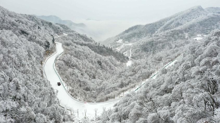 湖北保康現森林霧凇景觀 如水墨畫卷